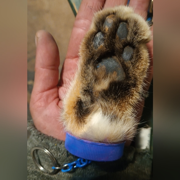 Meet your Posher, Sonoran Uniquities - Picture 8 of 10